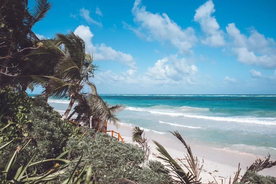Villa Destiny Tulum Beach Front Luxury Villa 0*,