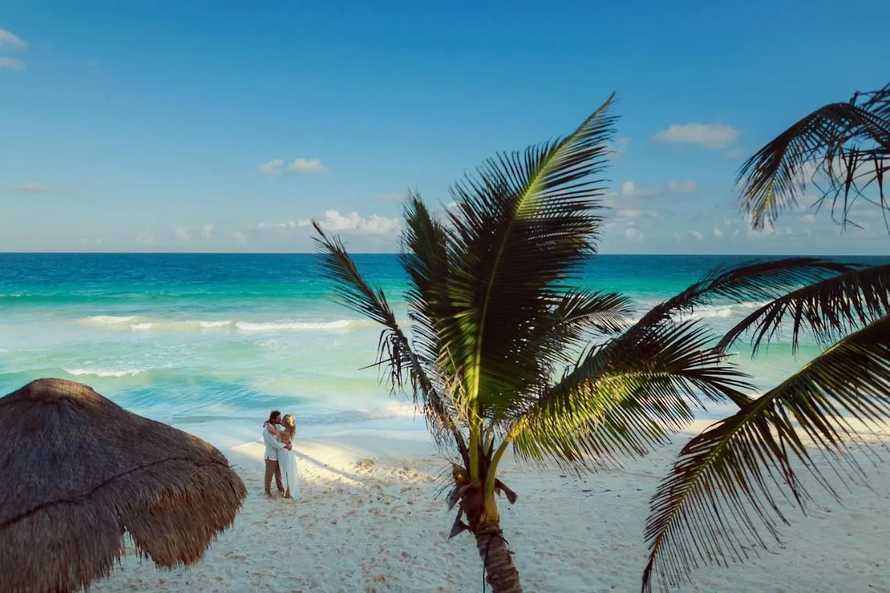 Villa Destiny Tulum Beach Front Luxury Villa 0*,  Mexico